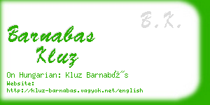 barnabas kluz business card